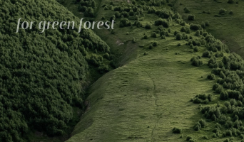Forest fire disaster recovery project in Gangwon/Gyeongbuk